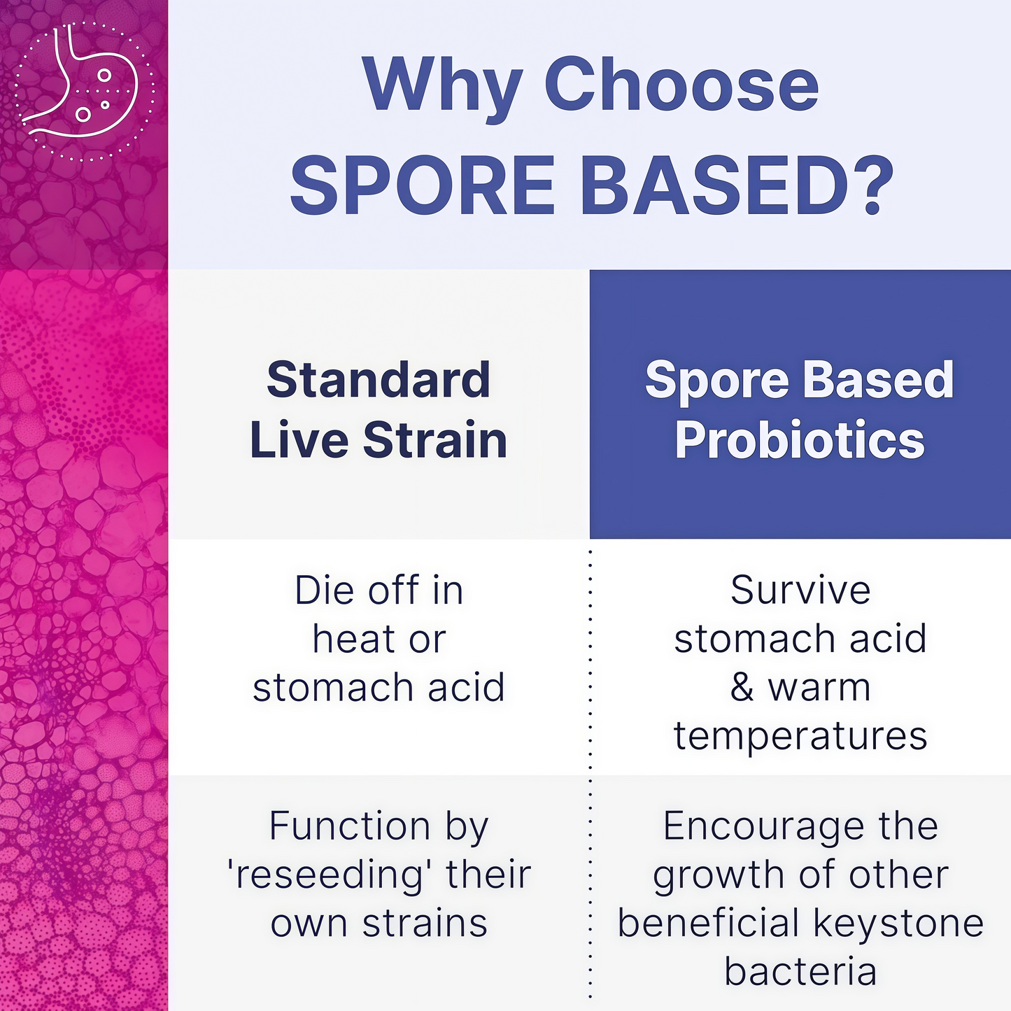 MegaSporeBiotic